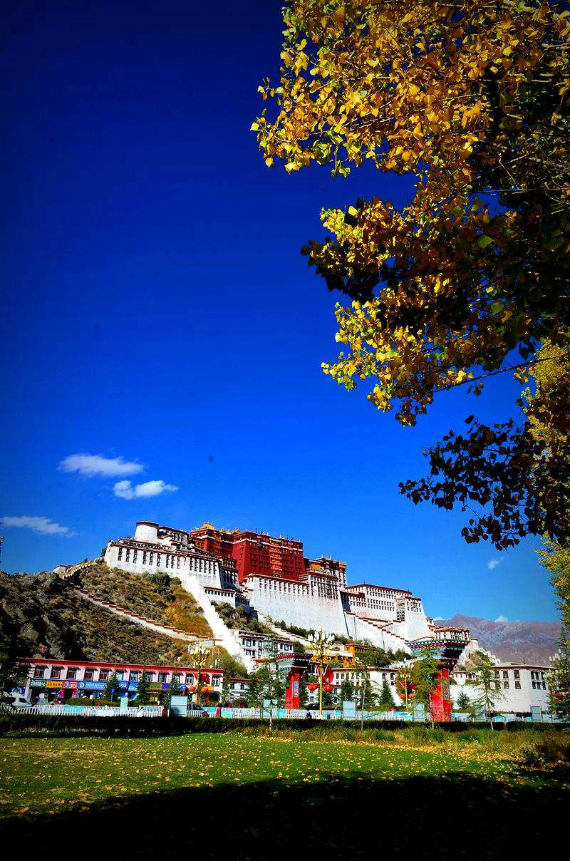 西藏旅游团队机票